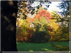 foto Parco Karlsaue in Autunno